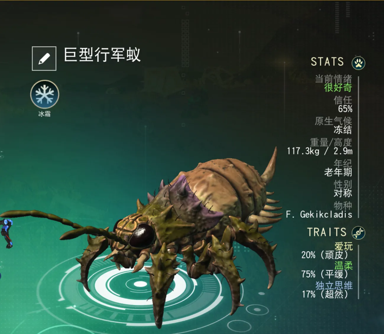 宠物分享 巨型行军蚁-2